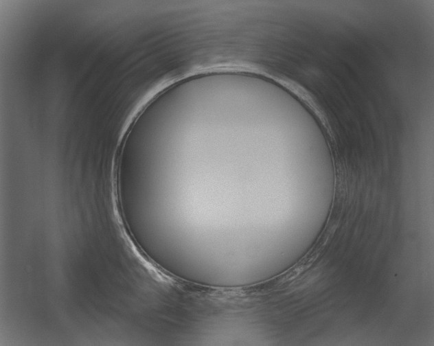 X0000054361006200507290800