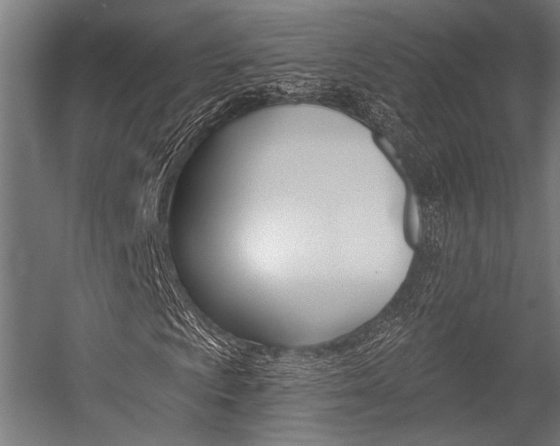 X0000054361009200507290759
