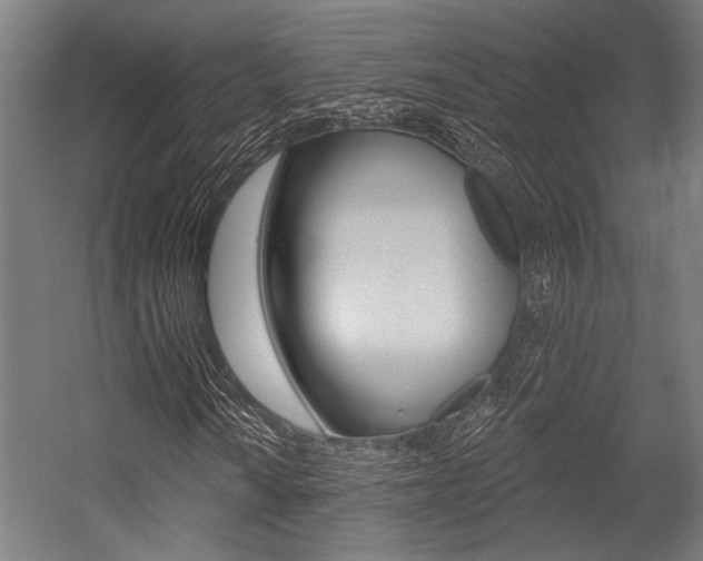 X0000054361010200507290759