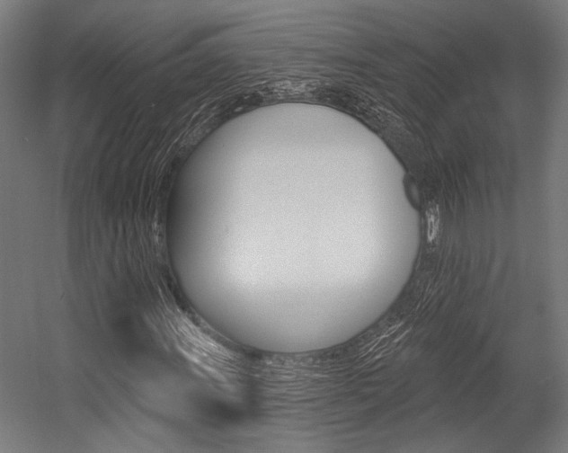 X0000054361011200507290759