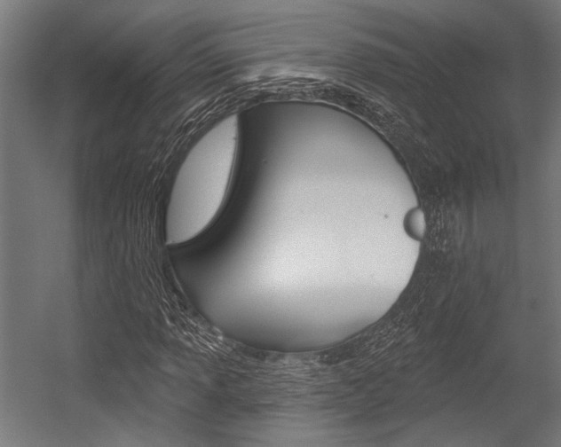 X0000054361013200507290759