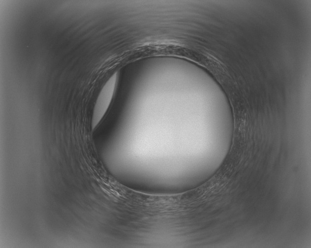 X0000054361014200507290759