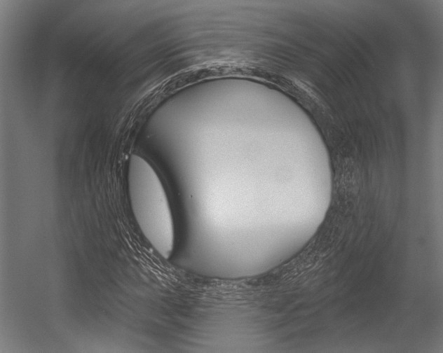 X0000054361015200507290759