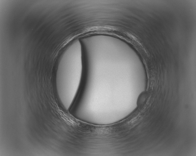 X0000054361017200507290759