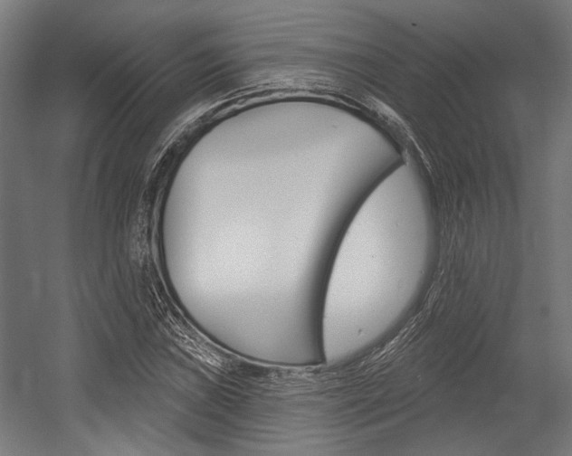 X0000054361019200507290759