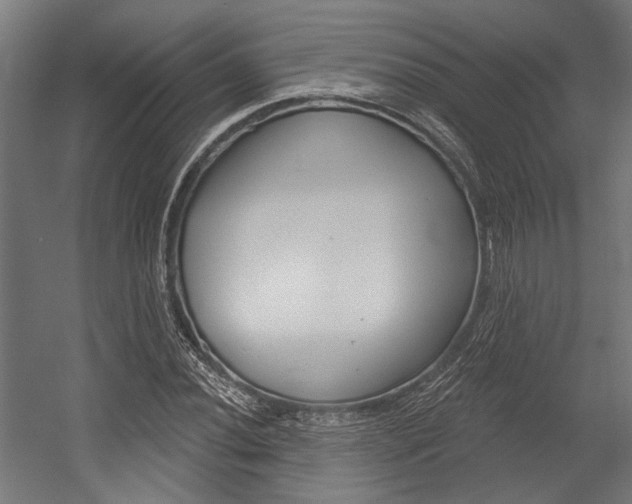 X0000054361020200507290759