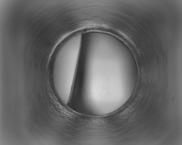 X0000054361021200507290759