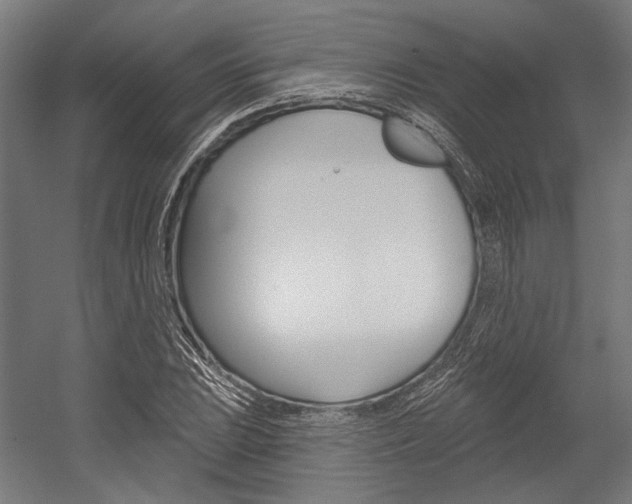 X0000054361023200507290759