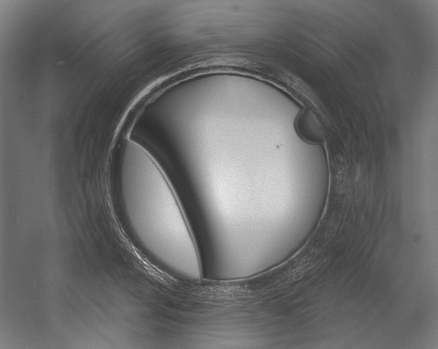 X0000054361024200507290759