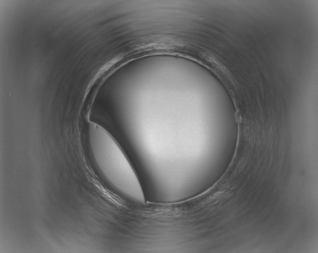 X0000054361026200507290759