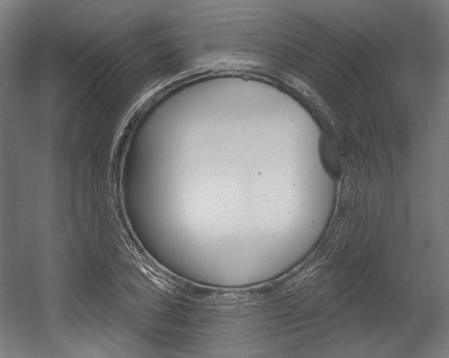 X0000054361027200507290759