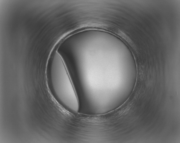 X0000054361028200507290759