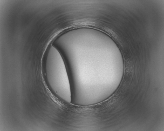 X0000054361031200507290759