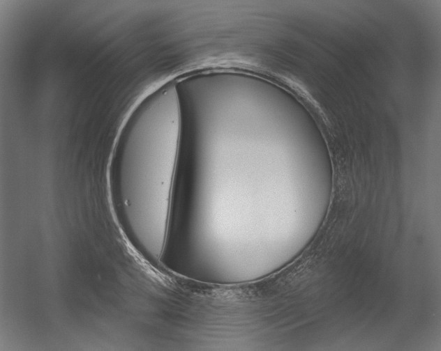 X0000054361032200507290759