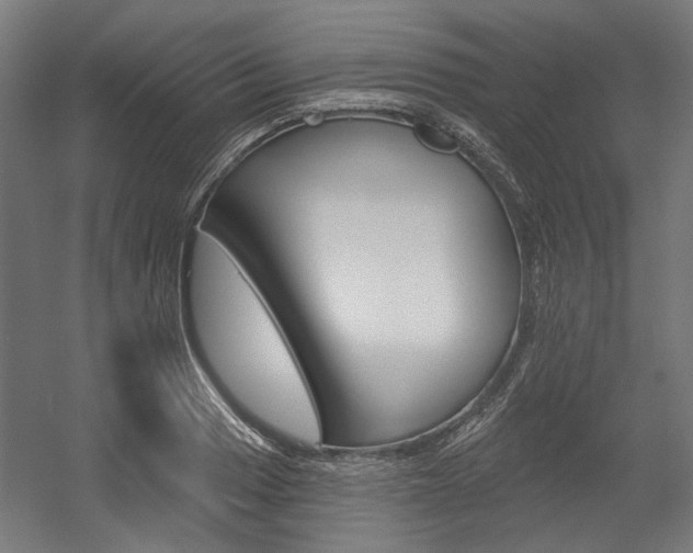 X0000054361033200507290759