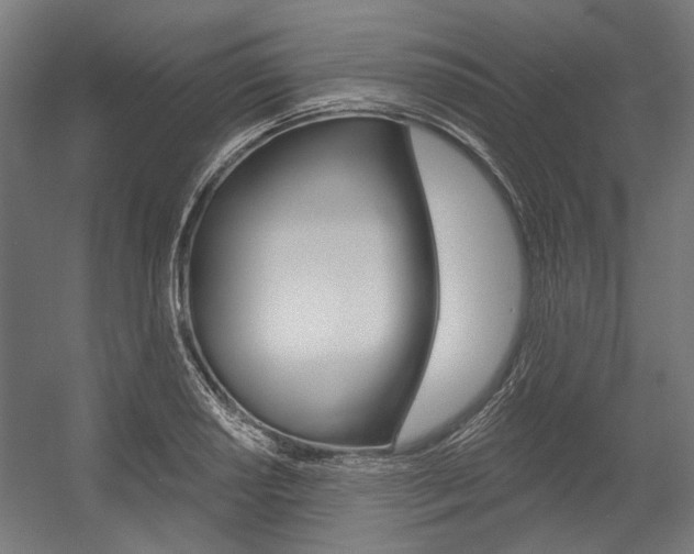 X0000054361034200507290759
