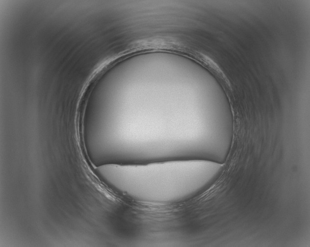 X0000054361035200507290759