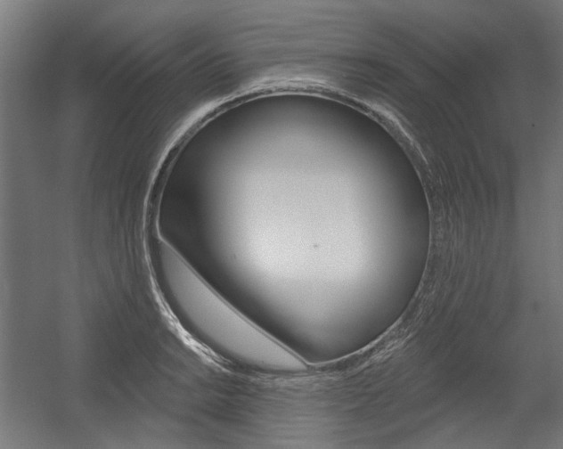 X0000054361038200507290759