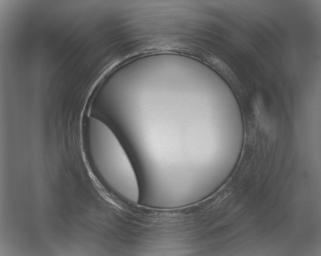 X0000054361039200507290759