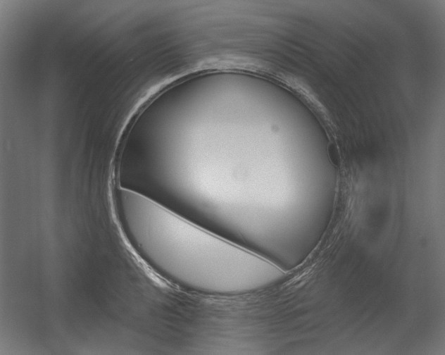 X0000054361040200507290759