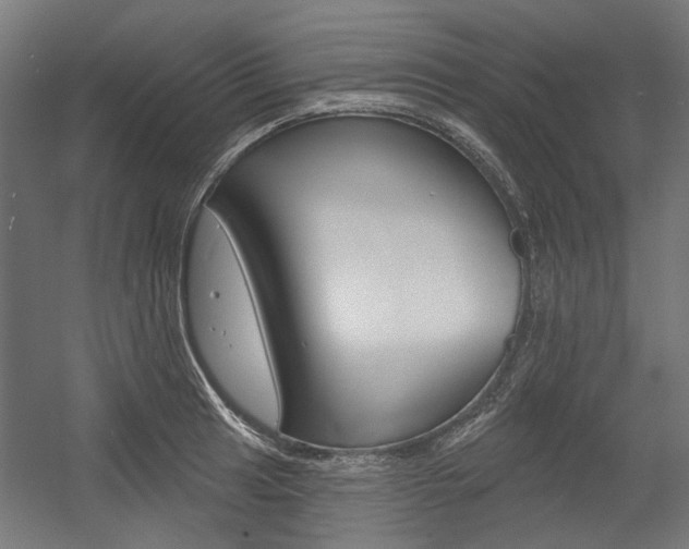 X0000054361041200507290800