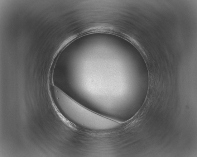 X0000054361042200507290800