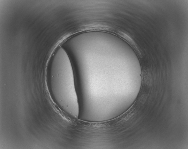 X0000054361043200507290800