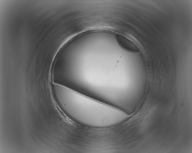 X0000054361044200507290800