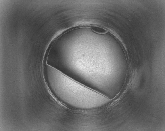 X0000054361045200507290800