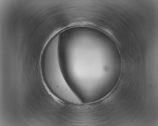 X0000054361046200507290800