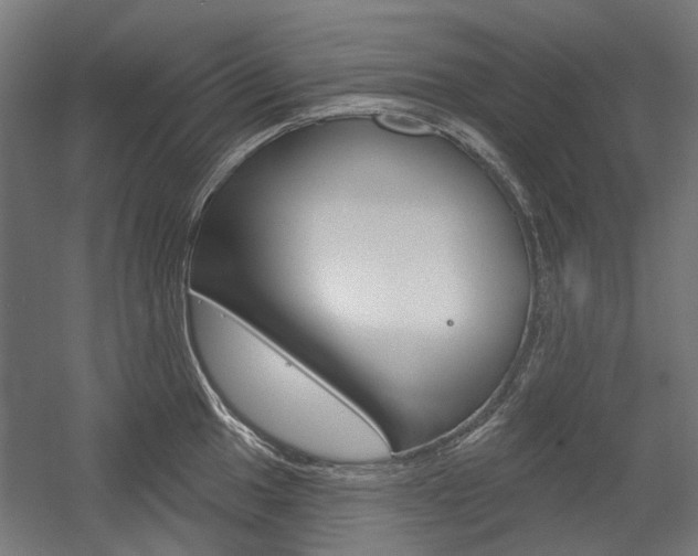 X0000054361049200507290800