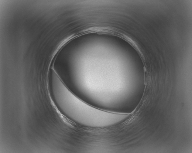 X0000054361050200507290800