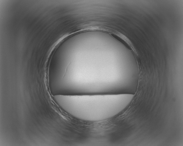 X0000054361051200507290800
