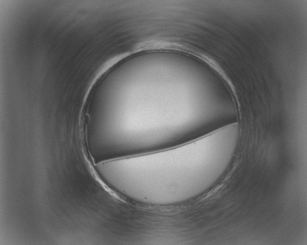 X0000054361053200507290800