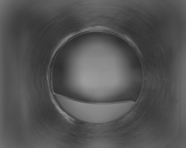 X0000054361054200507290800