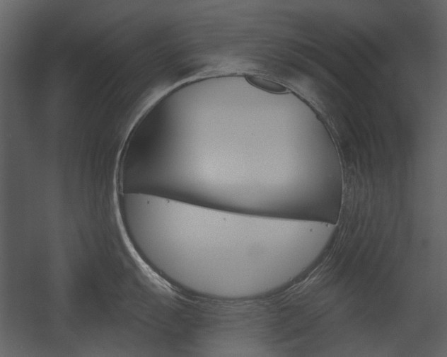 X0000054361055200507290800