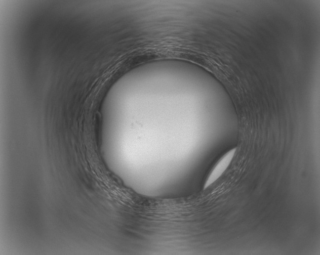 X0000054361057200507290759