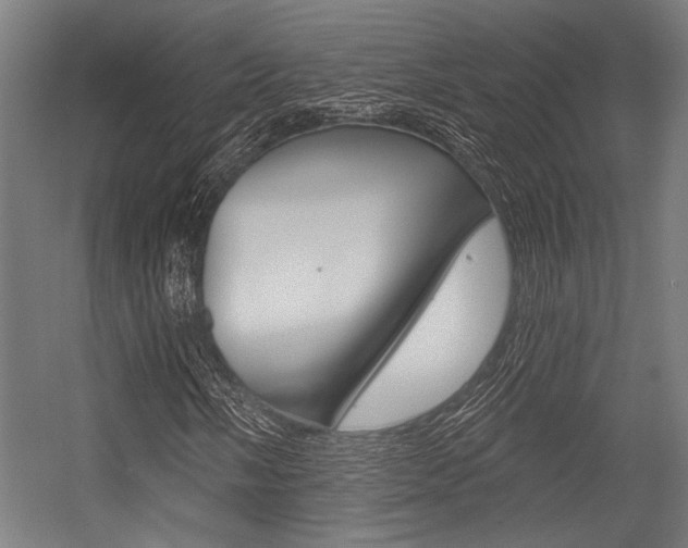 X0000054361058200507290759