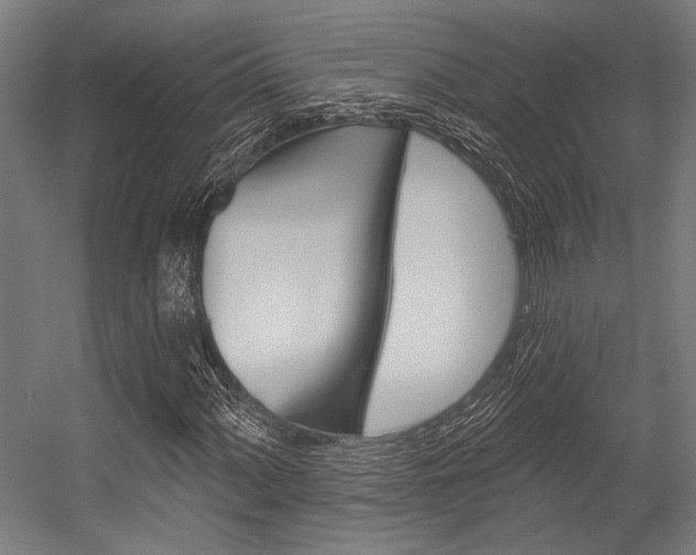 X0000054361060200507290759