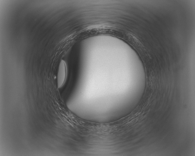X0000054361062200507290759