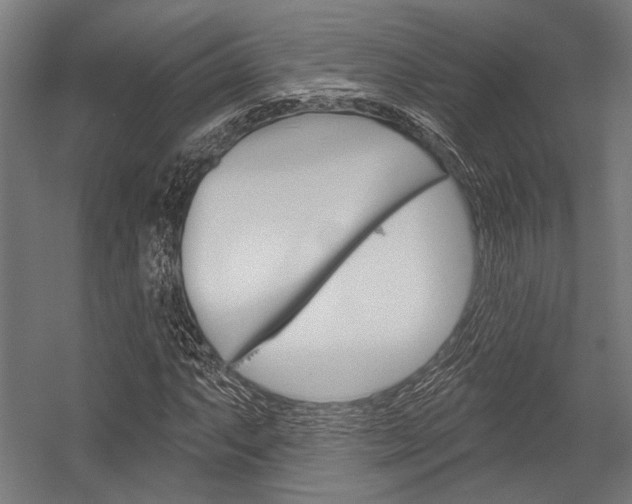 X0000054361063200507290759