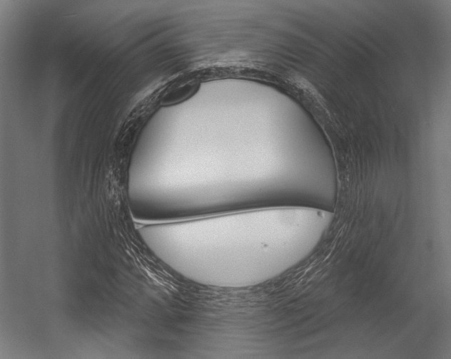 X0000054361064200507290759