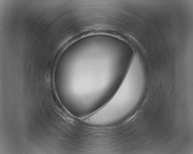 X0000054361065200507290759