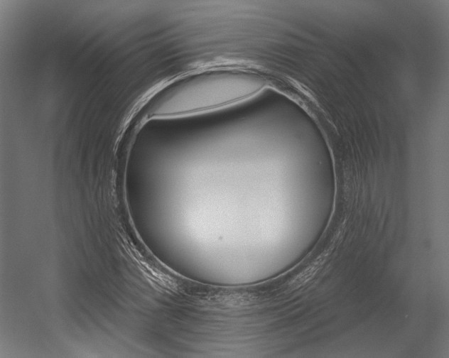 X0000054361066200507290759