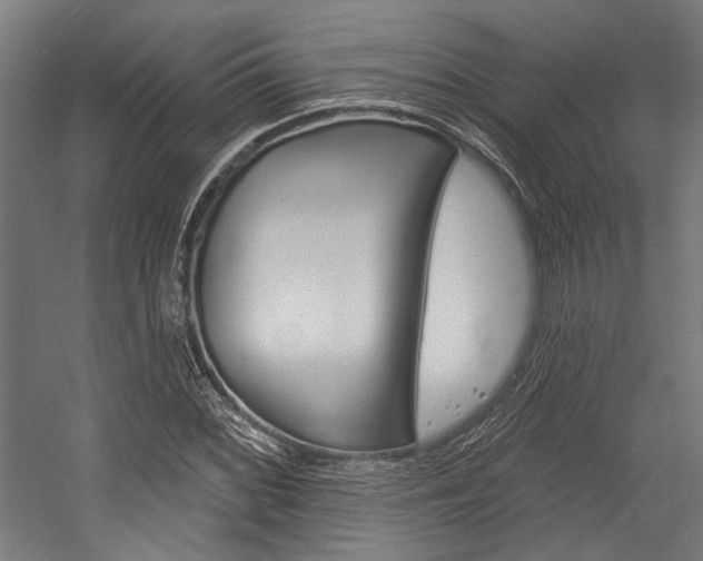 X0000054361068200507290759