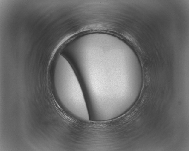 X0000054361070200507290759