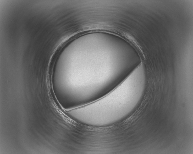 X0000054361072200507290759