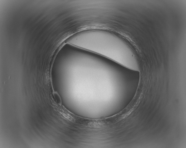 X0000054361073200507290759