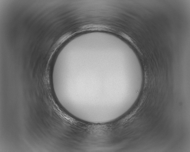 X0000054361074200507290759
