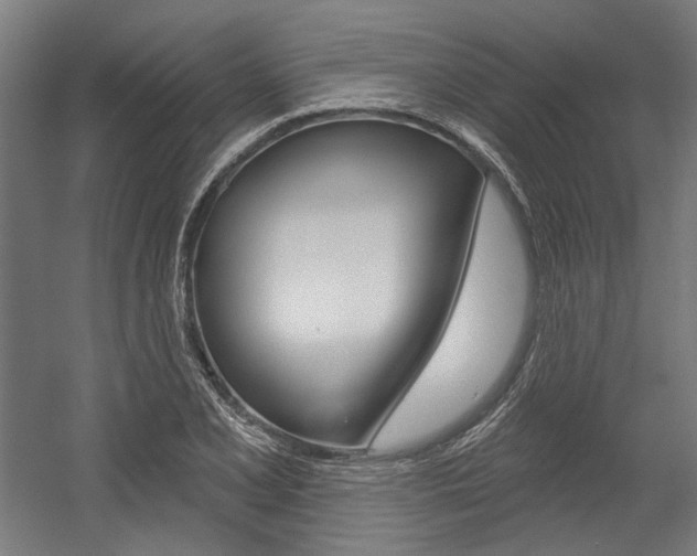 X0000054361077200507290759